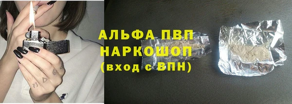 крисы Няндома