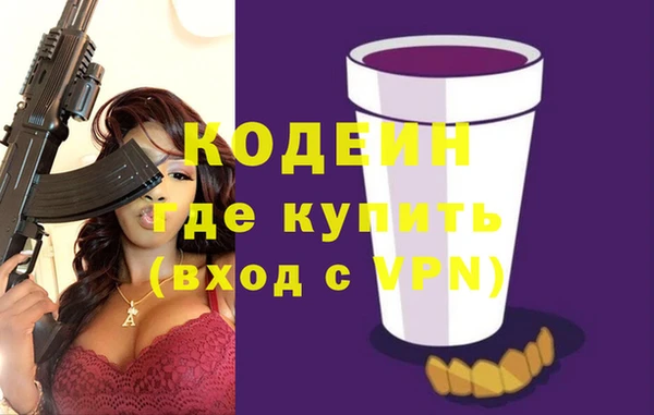 крисы Няндома