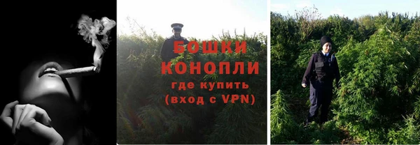 крисы Няндома