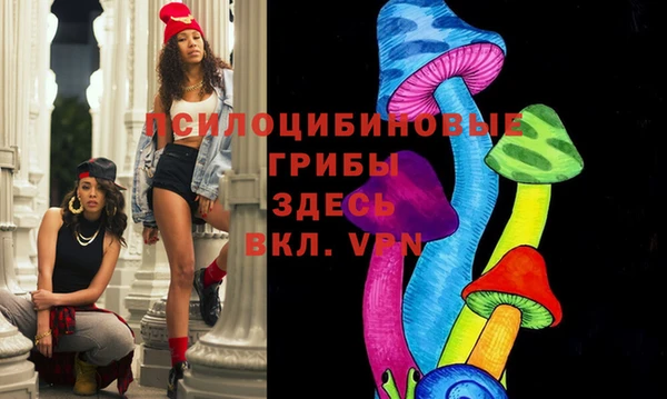 молекула духа Бабаево
