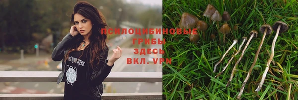 скорость mdpv Белая Холуница
